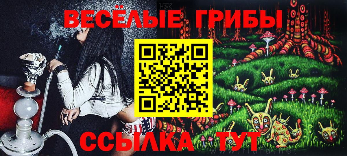 Псилоцибиновые грибы мухоморы Михайловка