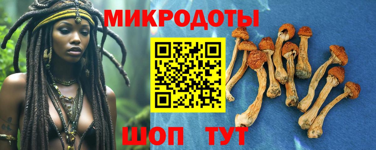 Михайловка  Псилоцибиновые грибы мицелий  Вход с VPN 
